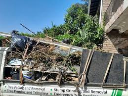 Best Recycling Services for Junk  in Meridian Village, CO