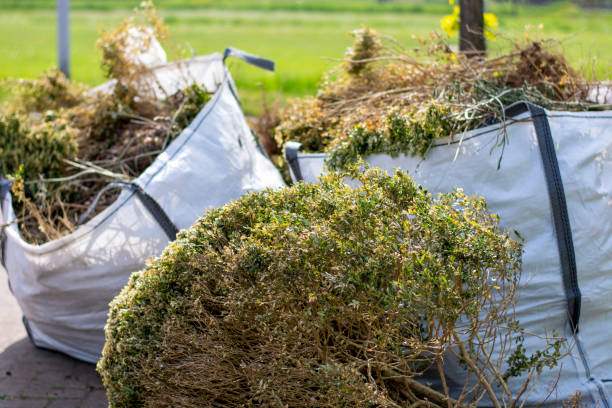 Best Dumpster Rental Services  in Meridian Village, CO